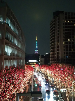 vol026 イルミネーション越しに見える東京タワー