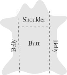 shoulder｜Butt|Belly